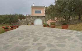 Olive Grove Villa